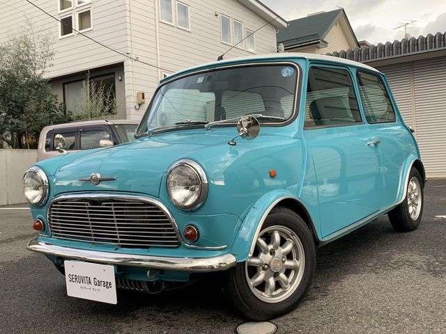 Rover Rover Mini