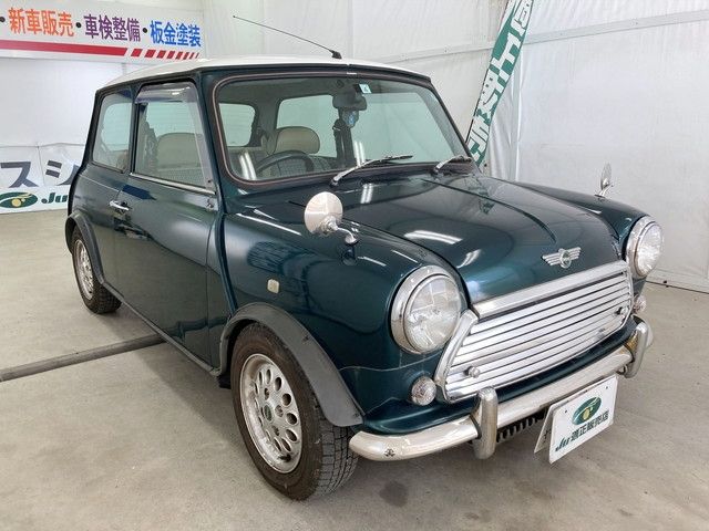 Rover Rover Mini