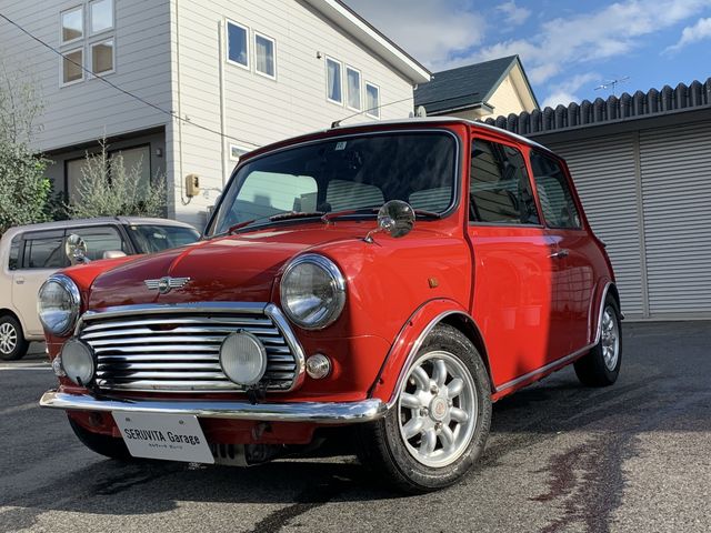 Rover Rover Mini