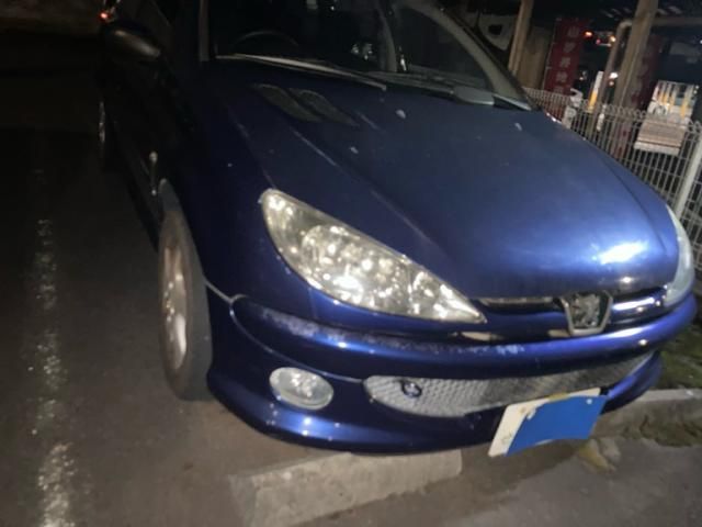 Peugeot Peugeot 206sw